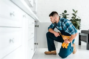 Customized Treatment Plan for Pest Control Visit